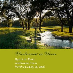 Enter Now: Bluebonnets in Bloom